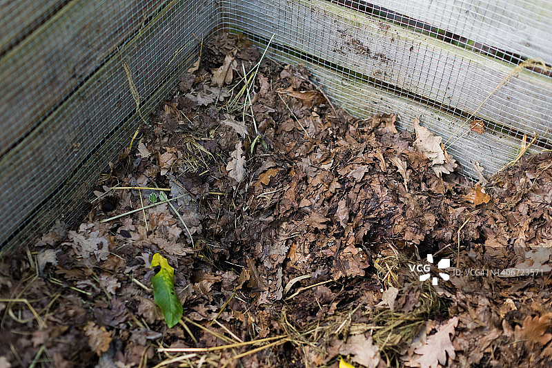 后院花园的木制堆肥箱图片素材