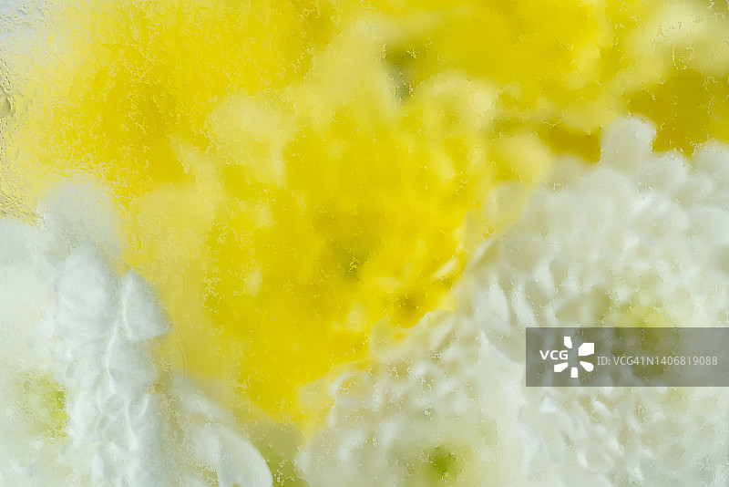 柔和概念：白色和黄色菊花的散焦花束图片素材