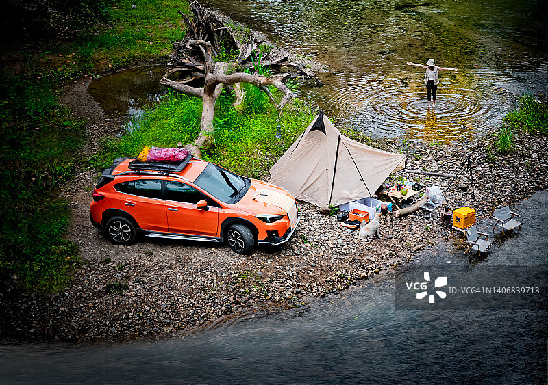 森林的狂野图片素材