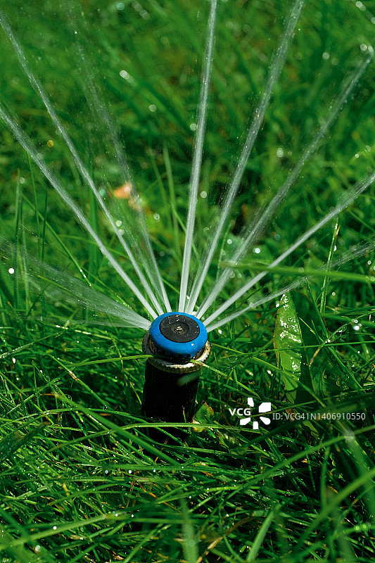 自动草坪喷水器灌溉绿草图片素材