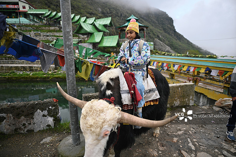 坐在牦牛上享受骑行的女孩图片素材