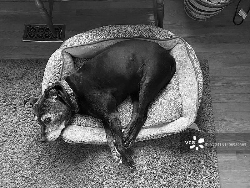 如果我合适，我就坐图片素材