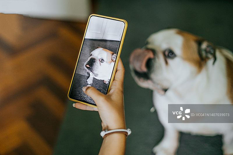 匿名人士在家用手机给他的狗拍照图片素材