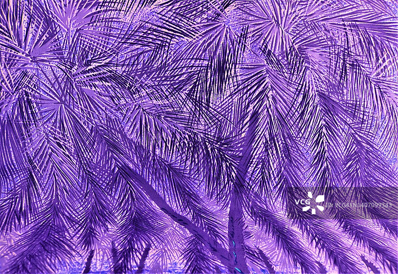 紫色抽象花卉背景图片素材