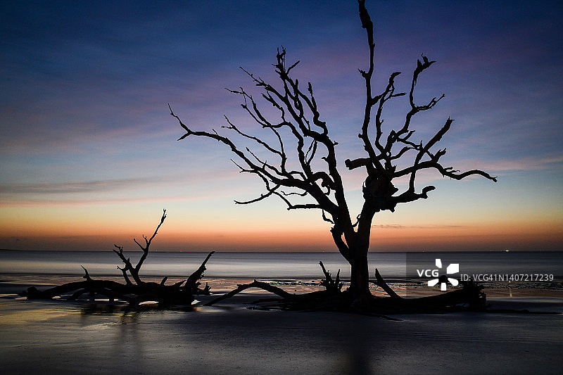 Boneyard海滩的黎明图片素材