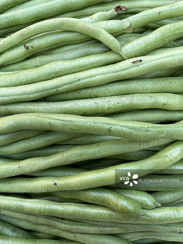 特写：四季豆图片素材
