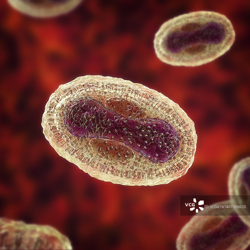 猴痘病毒颗粒图图片素材