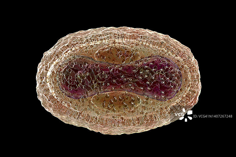 猴痘病毒颗粒，图示图片素材