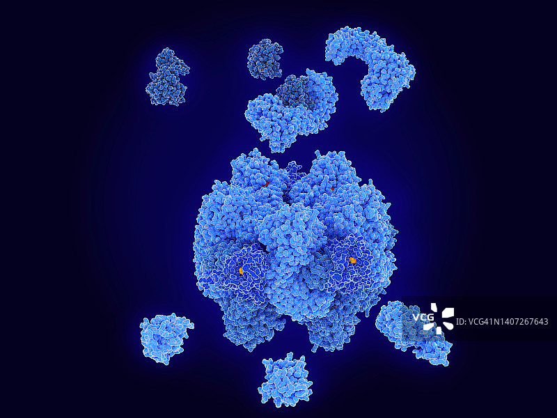 NLRP3炎症小体的激活插图图片素材