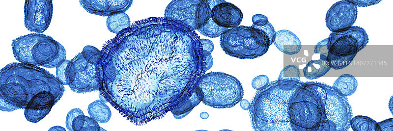 猴痘病毒插图图片素材