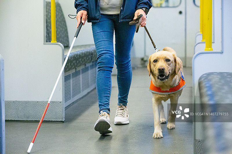 导盲犬引导盲人通过火车车厢图片素材