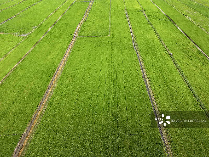 泰国乡村稻田的鸟瞰图图片素材