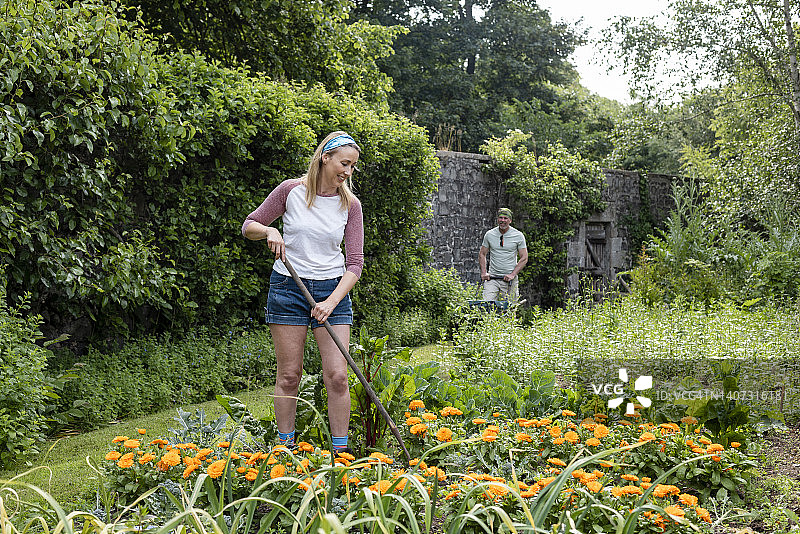 一起在花坛上劳作图片素材