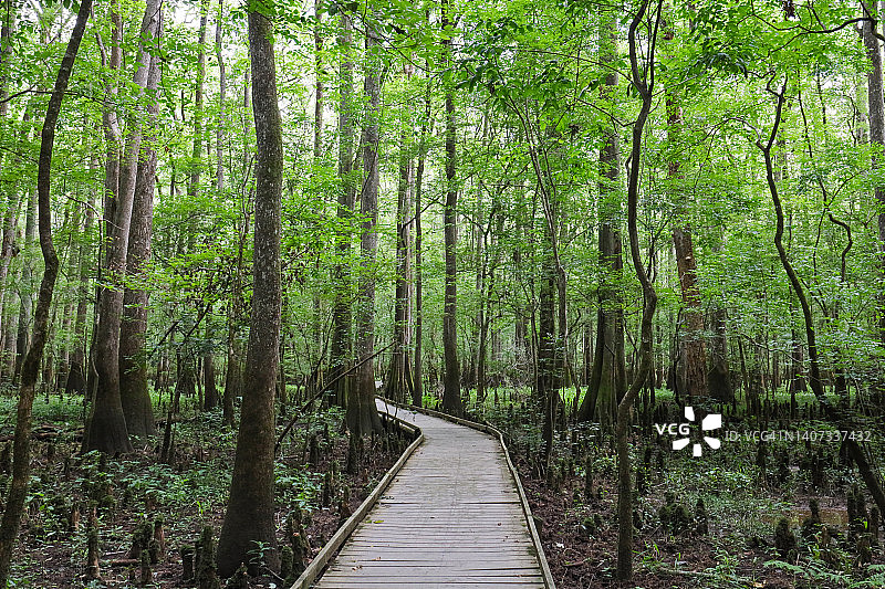 在自然中漫步图片素材