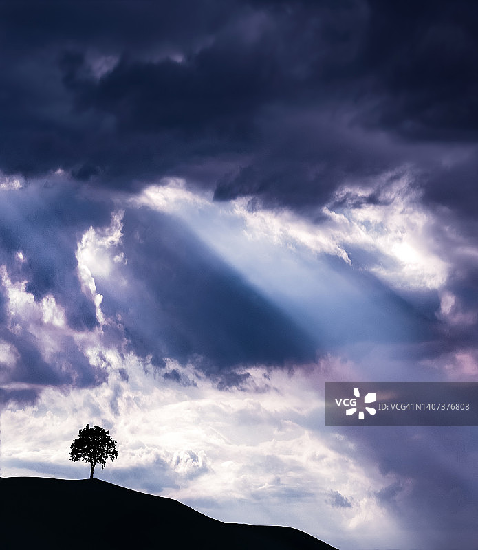 山顶树木的蓝色剪影与阳光图片素材