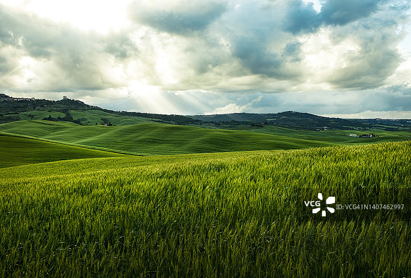 美丽的图片素材