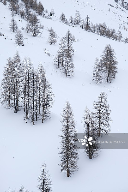 菲克斯山谷的风景图片素材