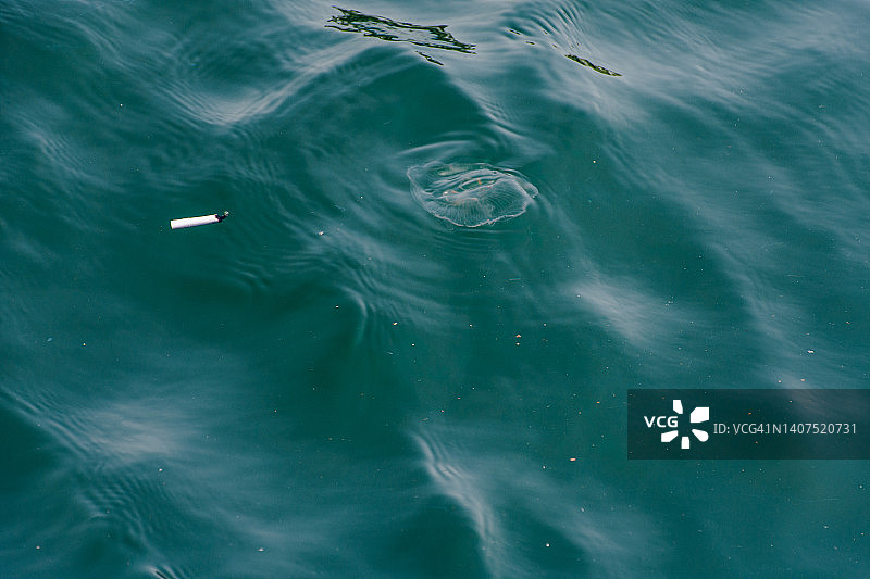 博斯普鲁斯海峡水母旁的烟头图片素材