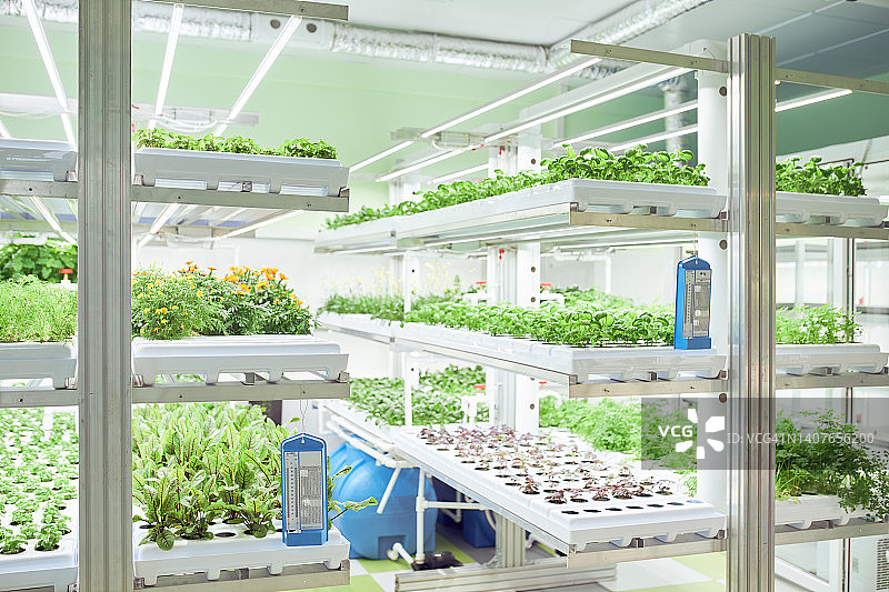 垂直农场的植物图片素材