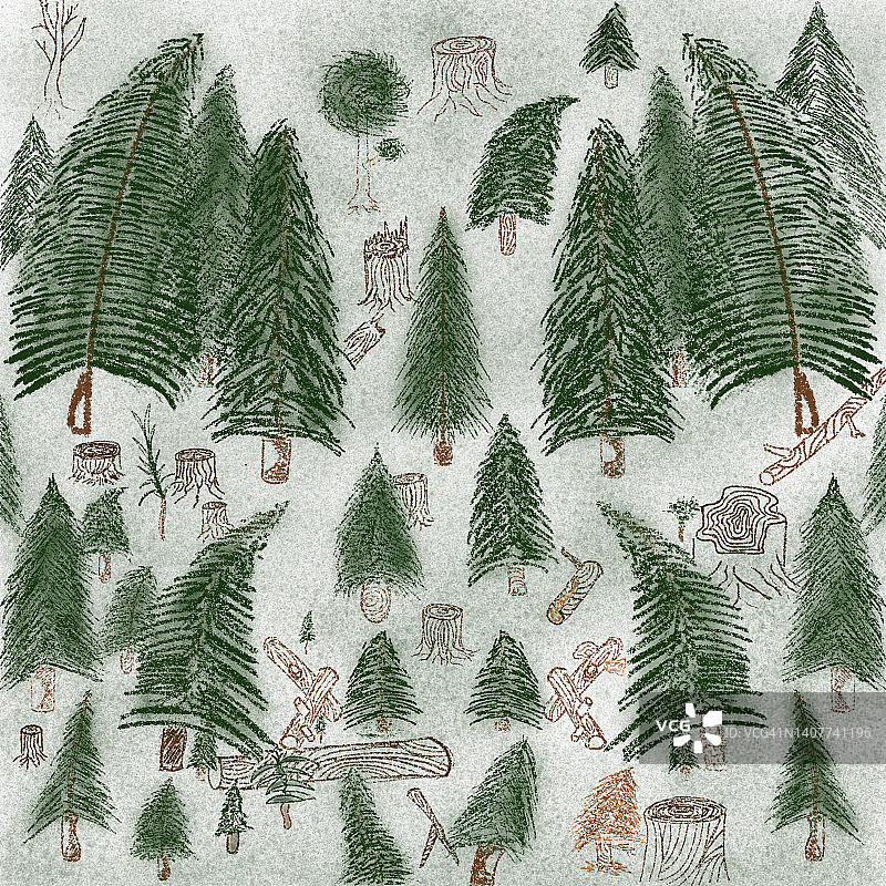 松树画图片素材