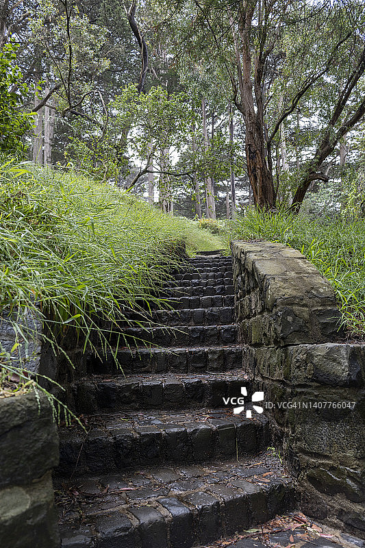 绿意盎然的公园里的乡村石头阶梯图片素材