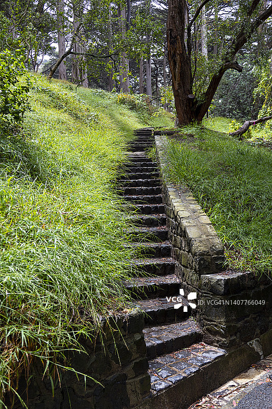 绿意盎然的公园里的乡村石头阶梯图片素材