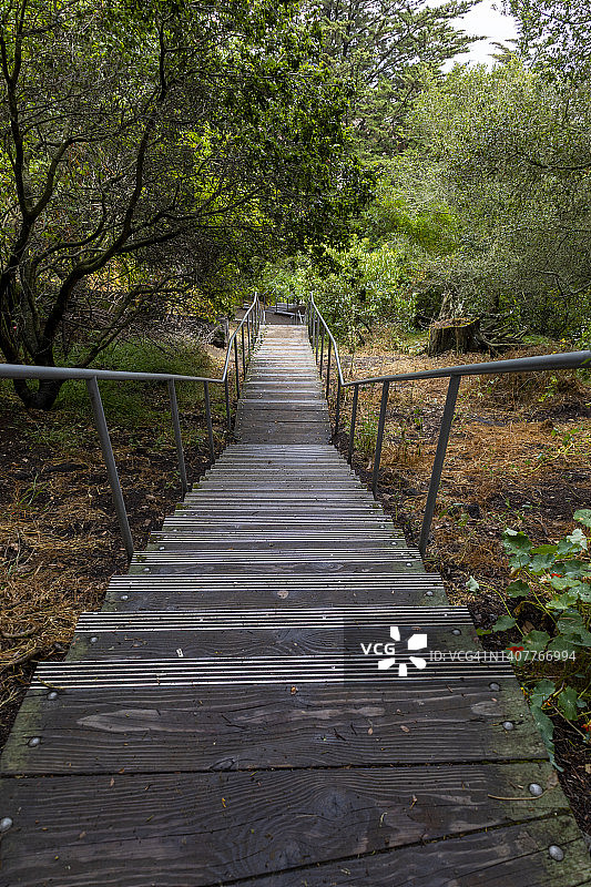 郁郁葱葱的公园里的楼梯图片素材