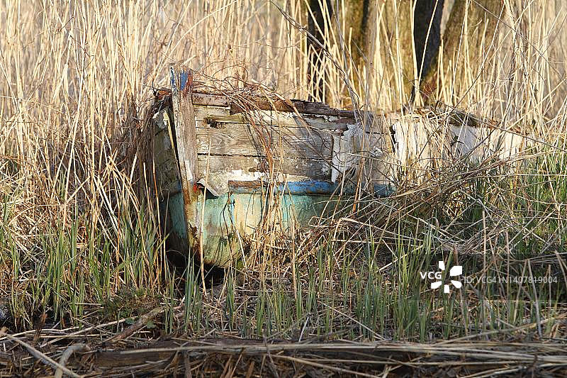 德国梅克伦堡-前波美拉尼亚佩内河谷自然公园的芦苇丛中的沉船图片素材