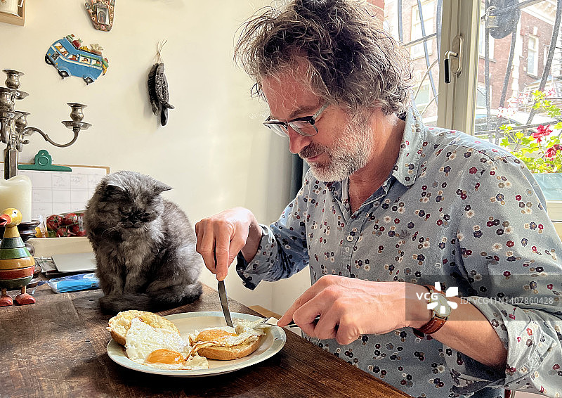 一个男人在吃煎蛋，盘子旁边有一只猫图片素材