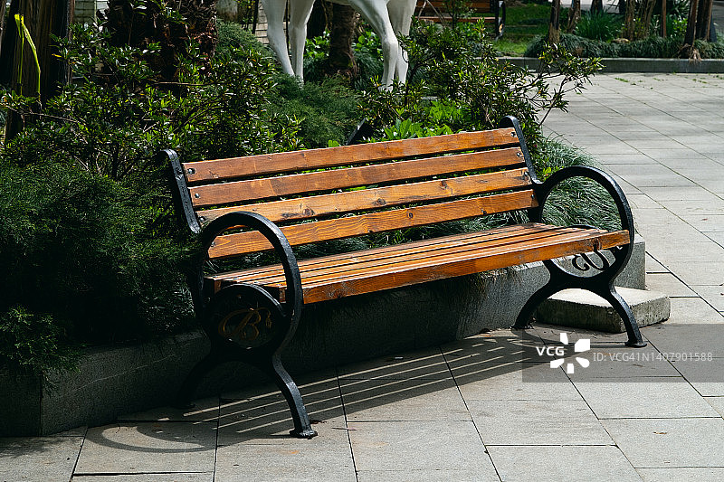 公园里的长椅，春夏时节的树木和木制休闲椅图片素材