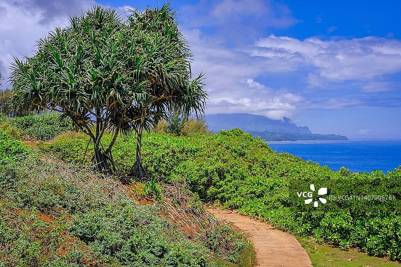 乞力马亚角野生动物保护区，考艾岛，夏威夷图片素材