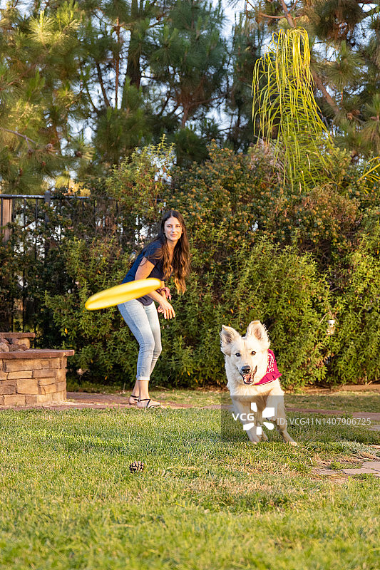 女人和狗一起扔飞盘图片素材