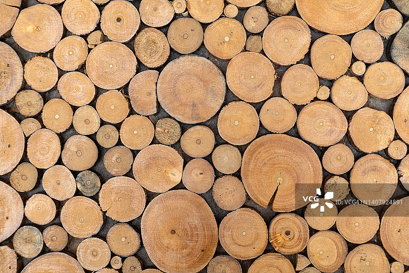 木材横截面图片素材