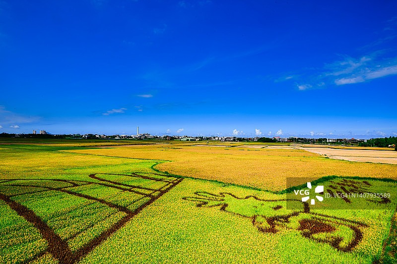 手绘稻田图片素材