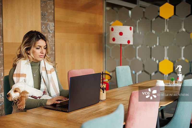 在宠物友好型办公室工作图片素材