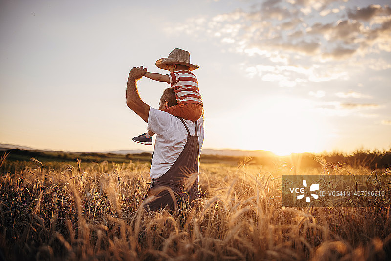 日落时分在麦田农场上的祖孙图片素材
