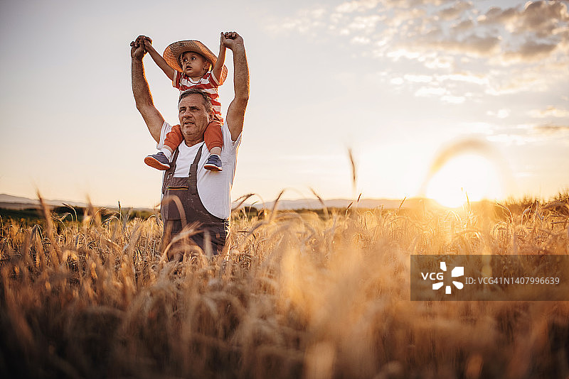 日落时分在麦田农场上的祖孙图片素材