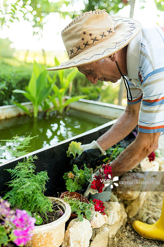 年长的园丁种植花卉图片素材