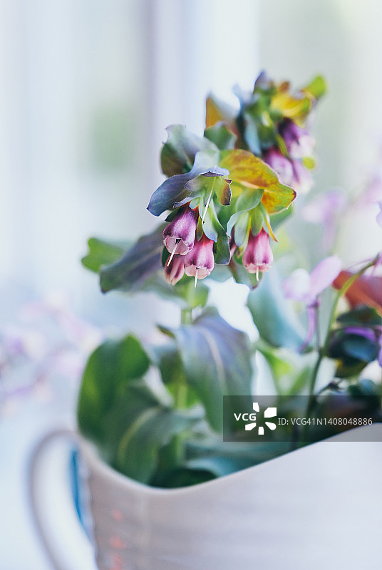 陶瓷花瓶中花园里新鲜的切花图片素材