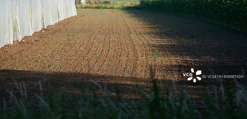 农业领域图片素材