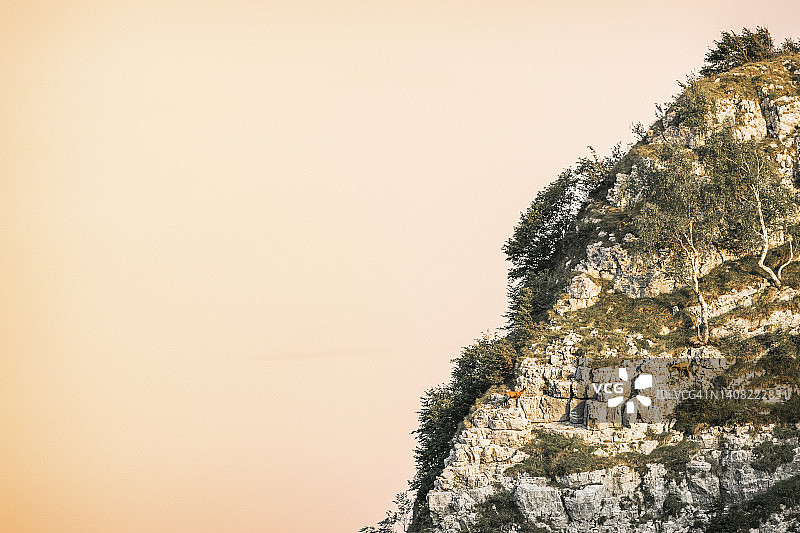意大利伦巴第科尔蒂尼奥内山，一对羚羊站在岩石上图片素材