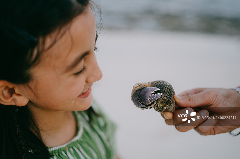 年轻女孩在日本海滩上看巨大的寄居蟹图片素材