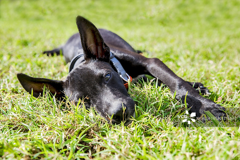 悠闲的时光图片素材