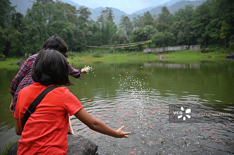 母女在湖里喂鱼图片素材