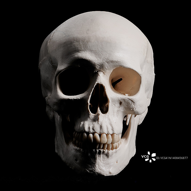黑暗背景上的白色骷髅图片素材