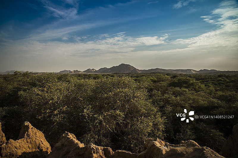 秘鲁兰巴耶克图库梅波马克森林图片素材