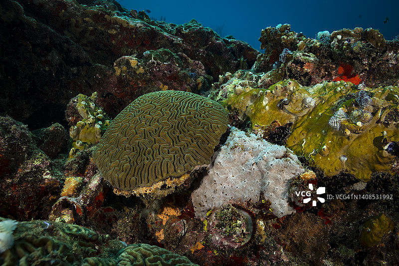 岩石礁图片素材