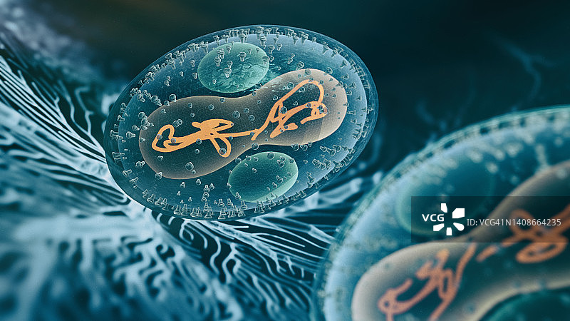 病毒感染猴痘病毒图片素材