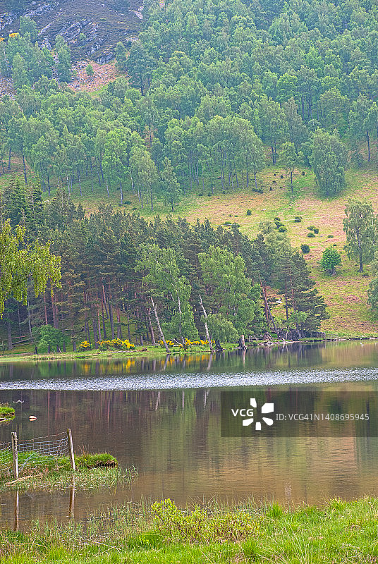 洛蒙德湖图片素材