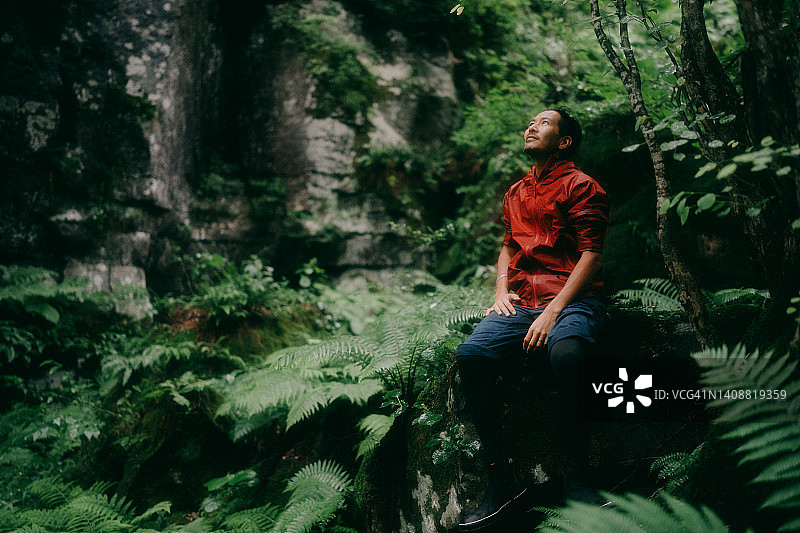 雨中森林里沉思的男人图片素材